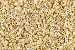 Whole grain oat flakes, not requiring boiling (NTV)