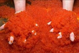 Red caviar of Chum salmon wholesale and retail in St. Petersburg