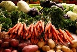 Картофель, лук, капусту, морковь, свёклу от КФХ