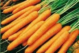 Семена моркови Нантес 2 Тито Hazera уп 1 кг