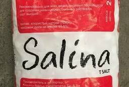 Salina T tableted salt