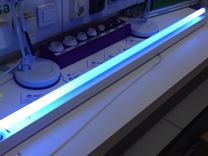 Лампа люминисцентная синяя, UV лампа
