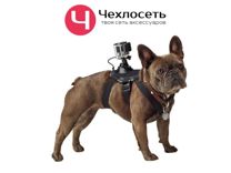 Крепление для GoPro на маленьких собак 1-площадка