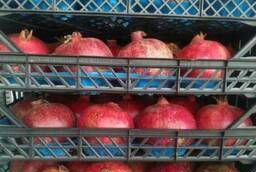Wholesale pomegranate