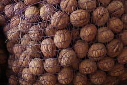 Walnuts wholesale directly from the manufacturer from 400r