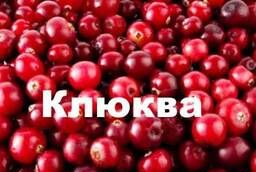 Fresh cranberries from 1 kg