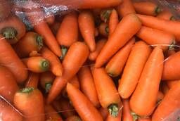 Морковь мытая, 15-25см, пакет 20кг, Волгоград