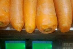 Морковь свежая второй сорт