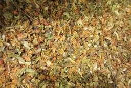 Sea buckthorn leaf berry (sea buckthorn tea) wholesale