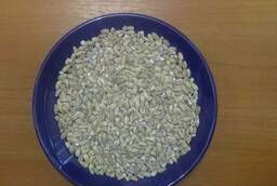 Pearl barley GOST 5784-60
