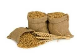 We offer grain in bags, wheat, barley, oats. ... .