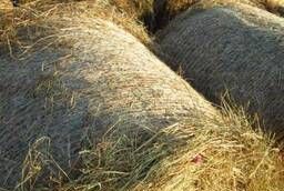 Selling hay in the Leningrad region for cows, rabbits, horses, dogs