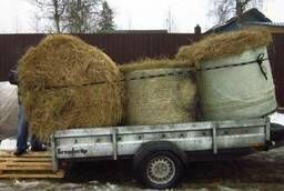 Hay in rolls, bales, bags. Hay for rabbits, horses