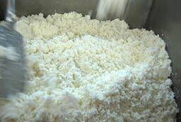 Cottage cheese from whole milk wholesale of todays production date