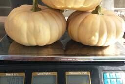 Pumpkin of different varieties, negotiable price.