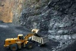 Услуги по организации добычи угля каменного