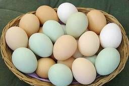 Яйцо куриное С1 традиционное 10шт