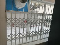 Раздвижные решётки на окна двери производство