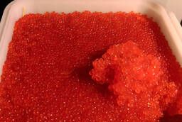 Chum salmon caviar, supplies directly from the factory