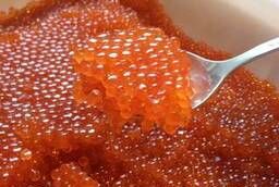Red chum salmon caviar wholesale