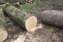 Round wood Maple