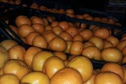Tangerines Abkhaz