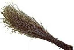 Birch broom