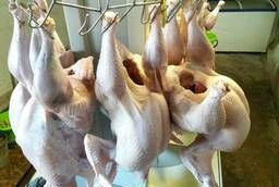 Turkey meat (carcass)