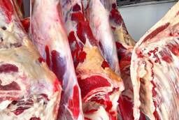 Meat wholesale. Bulls. Halal