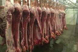 Pork meat (half carcasses)