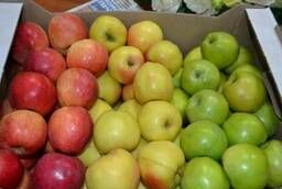 Продаём яблоки с иммунного сада Айдаред, , Флорина
