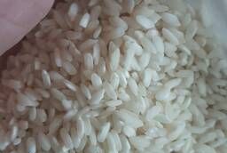 Rice Rapan GOST 5% shot