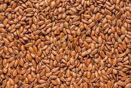 Food flax seeds