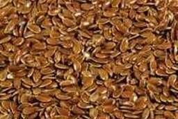 Flax seed (dark flax)