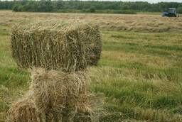 Hay in bales, mixed feed, sawdust, wheat, barley