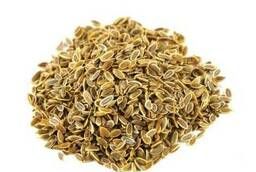 Dill seed wholesale (order conditions in the description)