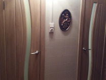 Двери туалет/ванна 137 серия 50 см. Экошпон