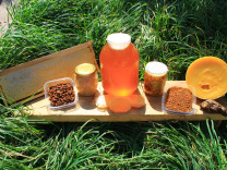 Мед с доставкой мёд и другие продукты пчеловодства