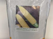 Семена сахарной кукурузы Мелина F1 (5000 шт)